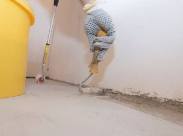 Best Bed Bug Extermination  in Blue Island, IL